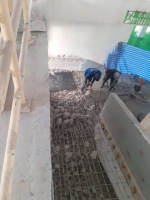 S__5521566.jpg - บริการงานรับเหมาก่อสร้าง ตกแต่งภายนอก-ภายในทุกชนิด | https://baiboonpower.com